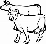 Clipart Cows Pair Clipartof sketch template