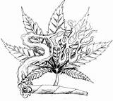 Weed Coloring Drawings Pages Tattoo Leaf Marijuana Pot Smoke Drawing Cannabis Step Draw Plant Smoking Easy Stoner Pencil Tribal Creative sketch template