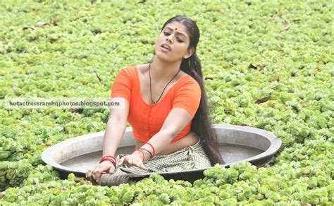 hot indian actress rare hq photos tamil actress iniya deep navel show in lungi blouse
