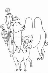 Coloring Cute Pages Camel Stands Smiles Animals Preview sketch template