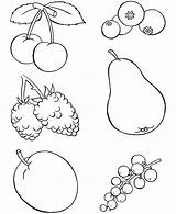 Fruits Berries Cowberry sketch template