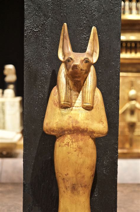 egyptian god  gold stunning egyptian king tut exhibit   putnam