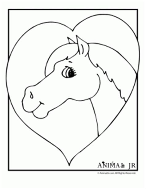 horse coloring pages classroom jr