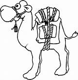 Camellos Compartan Disfrute Pretende Motivo Niños sketch template