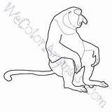Coloring Monkey Proboscis Pages Click sketch template