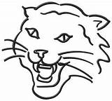 Wildcat Coloring Pages Logo Wild Cat Colouring Clipart Scottish Stanley Flat Wildcats Clip Musical School High Drawing Step Draw Cliparts sketch template