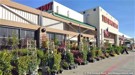 discovered  great nurseryand   home depot
