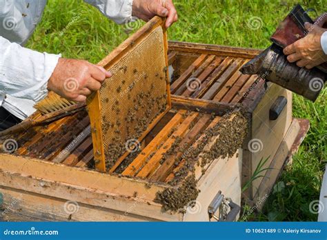 bijenkorf  stock afbeelding image  roker imker bijenwas