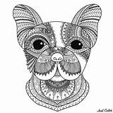 Coloring Dog Head Dogs Pages Stylized Bulldog Zentangle Puppy Tattoo French Good Adults sketch template