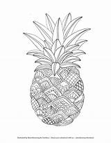 Pineapple Coloring Pages Printable Mandala Fruit Fruits Zentangle Adult Tombowusa Choose Board Flower Cute sketch template