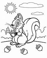 Coloring Squirrel Preschool Pages Popular sketch template
