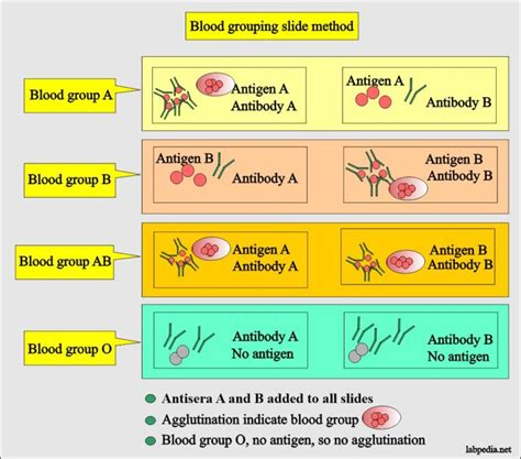 blood banking part  blood groups abo  rh system blood grouping