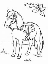 Paard Kleurplaat Caballo Kleurplaten Paarden Leukekleurplaten Horses Dibujosparaimprimir Caballos Coloringpage sketch template