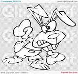 Punching Boxer Outlined Rabbit Bunny Illustration Royalty Clipart Vector Toonaday sketch template