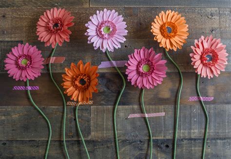 gerbera svg   designlooter