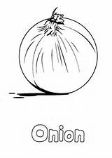 Onion Coloring Pages Vegetable Getcolorings Kids Color Food Printable sketch template