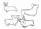Corgi Drawing Cute Dogs Pages Printable Template Getdrawings Coloring Drawings Doodles Dog Illustration Doodle Instagram sketch template