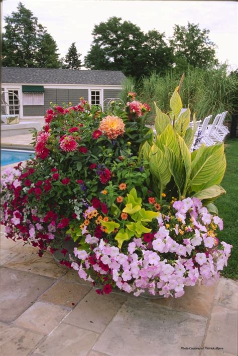 fantastic container gardening ideas  limited space
