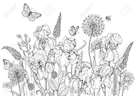 image result  flowers  bees art wildflower drawing   draw