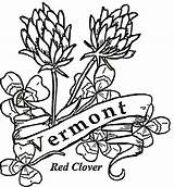 Vermont Coloring Flowers Pages State Printable Map Drawing Bird Clipart Categories Supercoloring sketch template