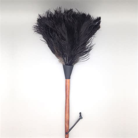 small ostrich feather duster  blue door