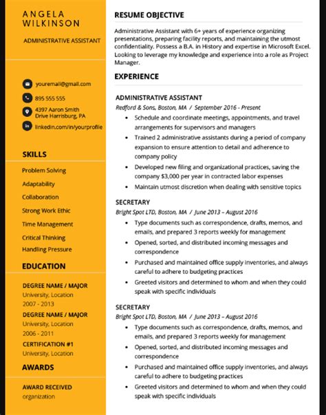 important points cv  resume examples   inspiration