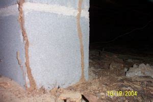 preventing termites   mobile home starts   foundation pest cemetery