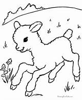 Easter Coloring Pages Lambs Lamb Colouring sketch template