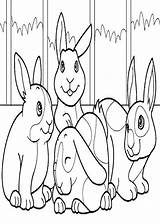 Conejos Pequenos sketch template