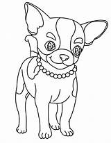 Chihuahua Coloring Pages Dog Cute Chiwawa Necklace Beautiful Drawing Puppy Netart Kids Colouring Color Printable Sheets Print Getdrawings Beverly Hills sketch template
