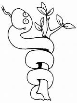 Snake Coloring Pages Coloring2print sketch template