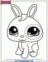 Coloring Pet Littlest Shop Bunny Pages Cute Printable Kids Print Lps Animals Sheets Colouring Dog Color Animal Bunnies Printables Little sketch template