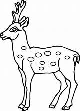 Deer Coloring Pages Baby Spotted Printable Outline Drawing Antler Head Kids Face Clipart Realistic Colouring Wecoloringpage Drawings Animal Getcolorings Animals sketch template