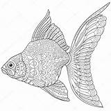 Zentangle Goldfish Pesce Stilizzato Adulti Antistress Adults Sybirko sketch template