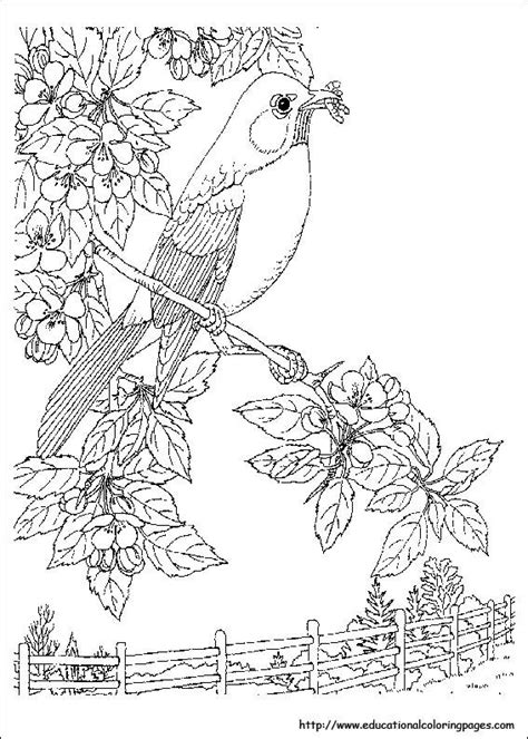 nature coloring pages  adults  printable coloring pages