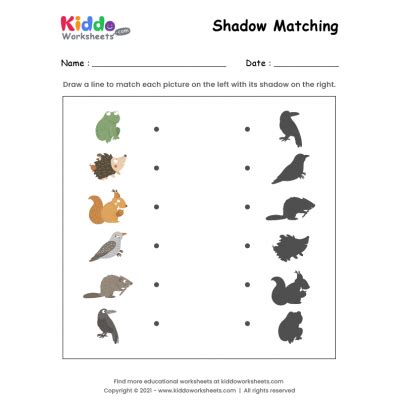 printable shadow match insects worksheet kiddoworksheets