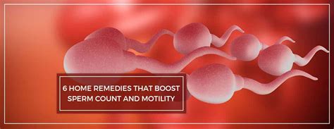 6 ultimate home remedies that boost sperm count and motility charak