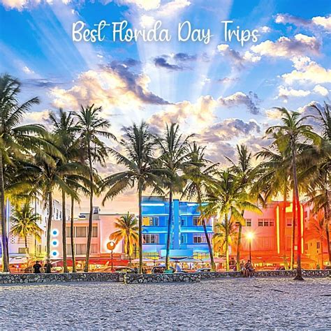 florida day trips  locals guide   top  day trips  florida
