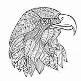 Boyama Aquila Erwachsene Hayvan Eagles Zentangle Antistress Farbtonseite Abschluss Kartal Doodle Colouring Tablosu Totem Schwarze Tablolari sketch template