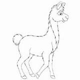 Llama Mama Coloring Surfnetkids Pages sketch template
