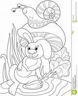 Colorare Rabbit Snail Coniglio Fungo Animati Funghi Righe Sotto Lumaca Karikatur Pilz Farbton Schnecke Kaninchen Tierfreunde Coloritura Fumetto Konijn Aard sketch template