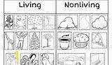 Nonliving Things Sketch sketch template