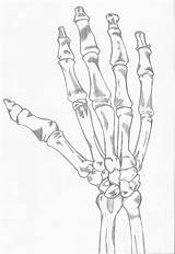 Skeleton Hand Right Hex Deviantart Drawings sketch template