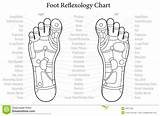 Reflexology Foot Chart Printable Charts Templatelab Maps sketch template