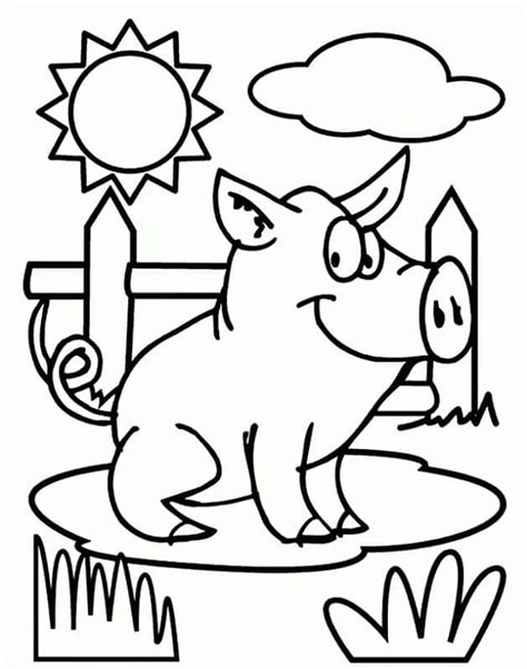 cartoon pig coloring page  print  color