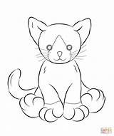 Coloring Webkinz Pages Cat Printable Print sketch template