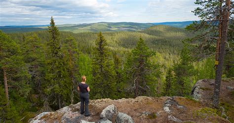 hitta hit björnlandets nationalpark sveriges nationalparker