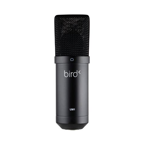 bird um microphone buy   scorescom