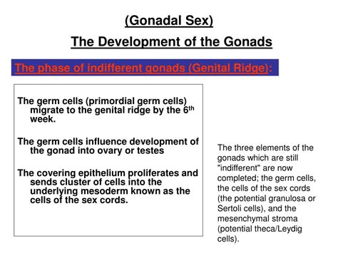 Ppt Normal And Abnormal Embryology Of The Female Genital Tract