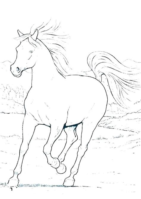 printable realistic horse coloring pages  getdrawings